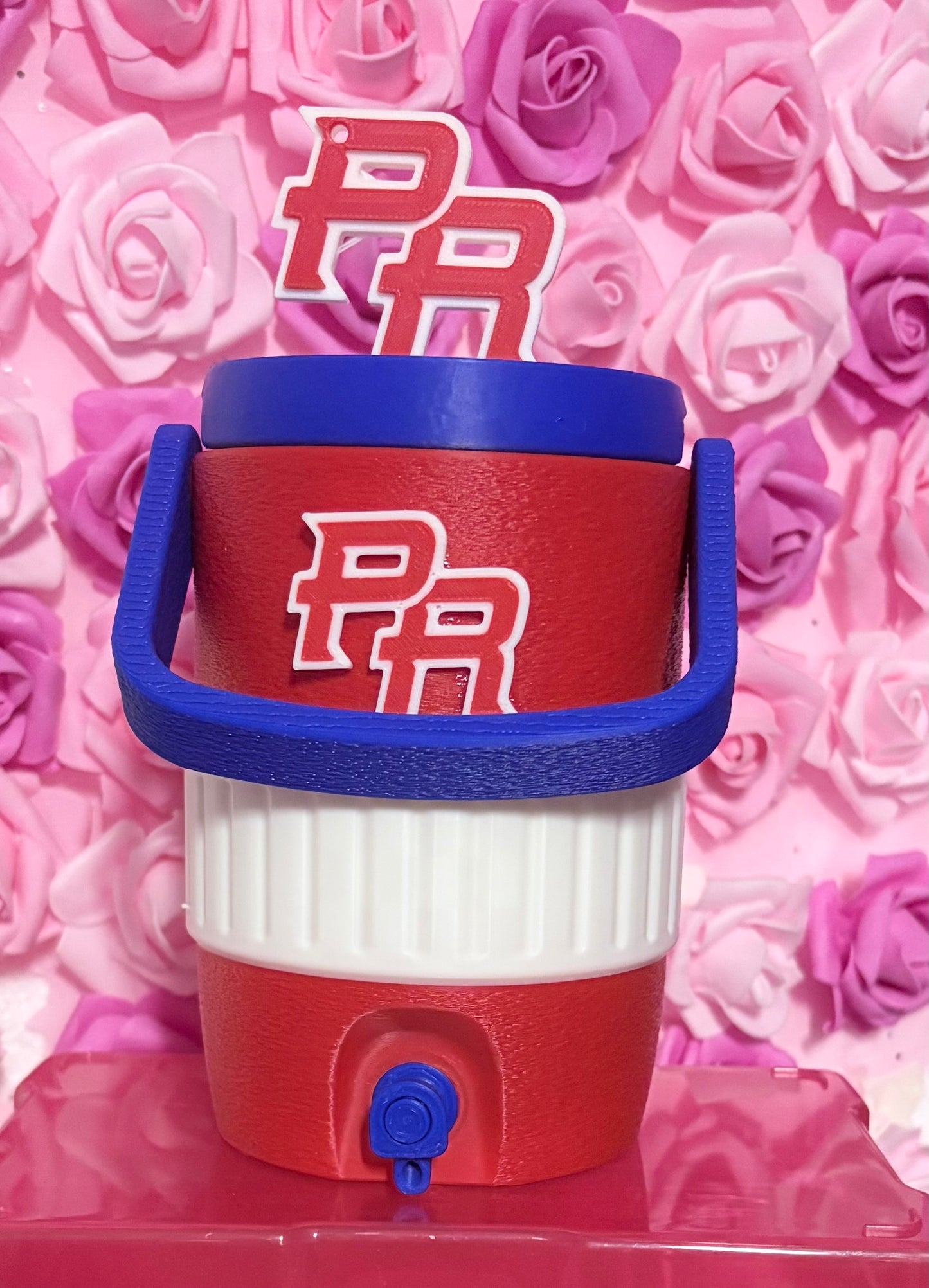 Puerto Rico 3D Soda Can Koozi